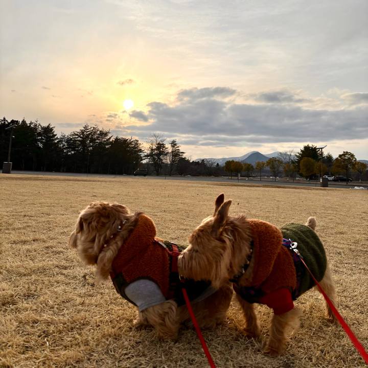 1503c3cd 9a12 4e06 86ae 7db2c40219bd 1762682620062