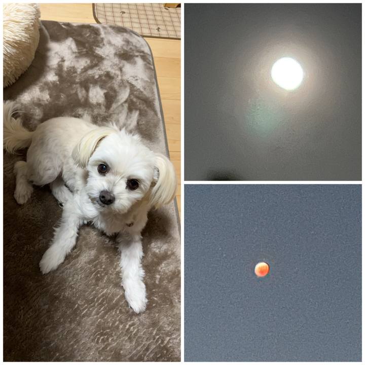 1503cd21 b455 4eab 8309 30125436b603 1667904536516