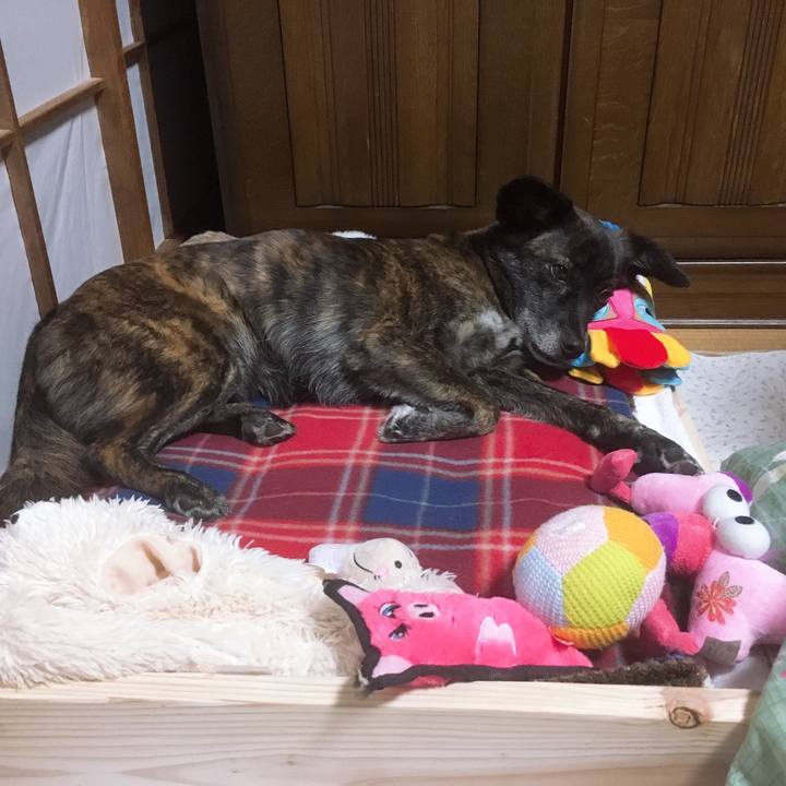 1503e7cf 6c28 4ee8 a7e7 751dcf0e339d 1546172562598