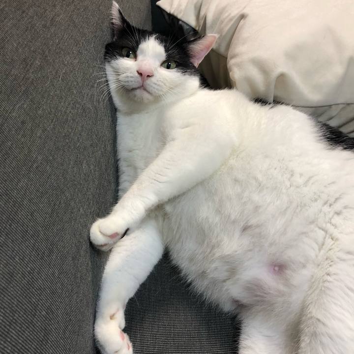 1503e906 f693 4808 8655 581e1088f30b 1533785727545