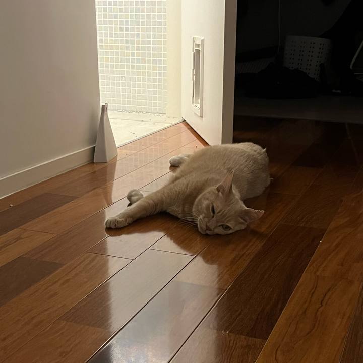 1503fc8d 62a2 4bea bd3a b81beb539d44 1703237509536