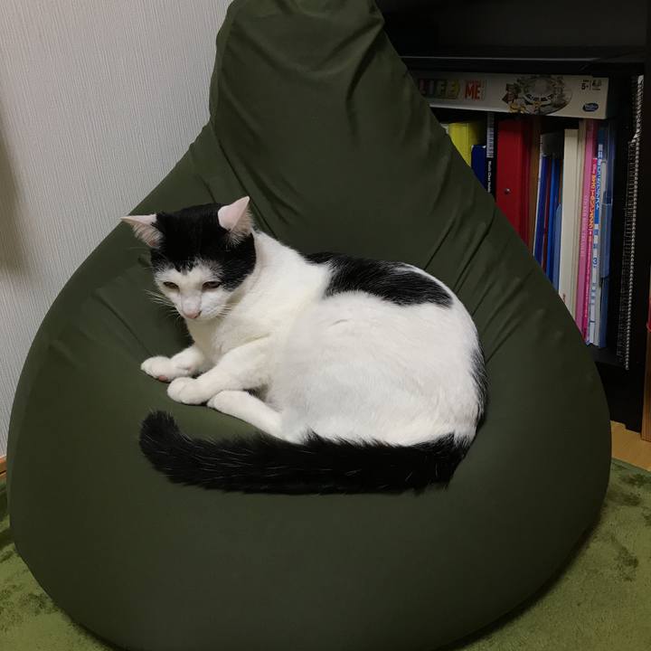 150419f9 e129 4dea b1bb 9294ab7fa3c5 1509003425248