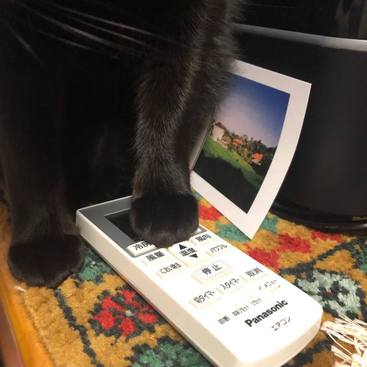 150422e5 c67e 4b43 b9ba 5f932e8c40c5 1547547474198