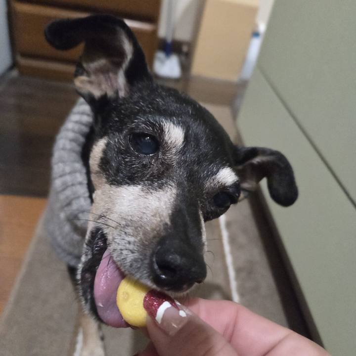 1504338c 78d8 426b 9bbd 5e19ff7ac6b2 1764964143783