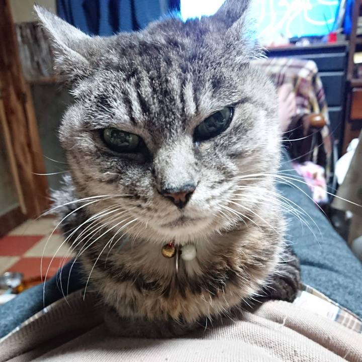 1504543a 151d 4a82 8039 011a27be34c2 1606909374267