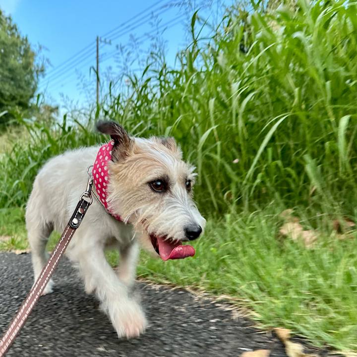 15048f85 018b 40a8 84e4 e4ecf80a813e 1755632352691