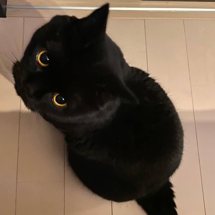 1504a601 e854 4df7 86ef 6a57a120190c 1752929925869