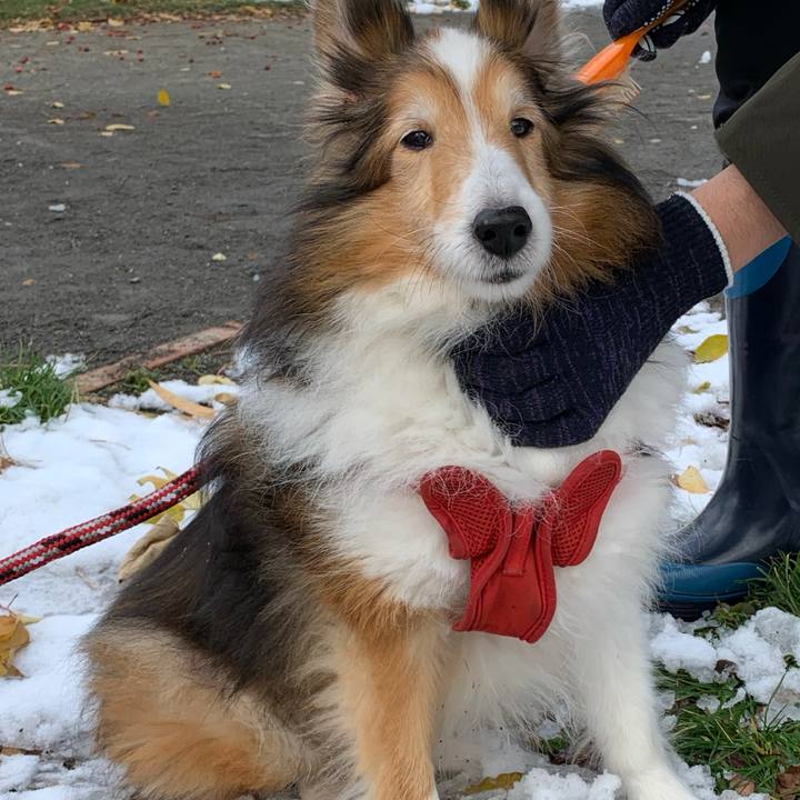 1504ce8e ed63 4415 9c5c 912db6f31363 1608706052201