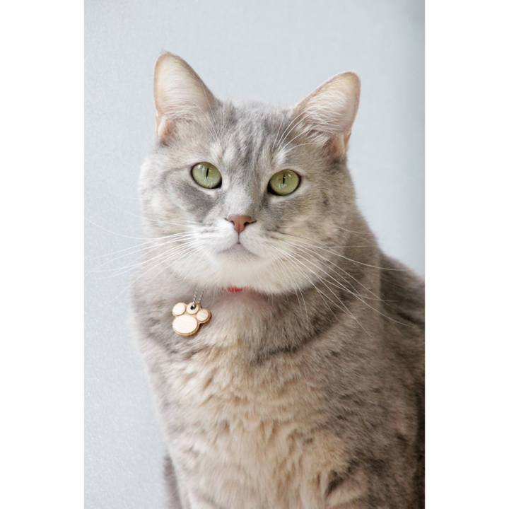 1504d28d defc 4b92 90d6 7f3720c38f89 1602845340566