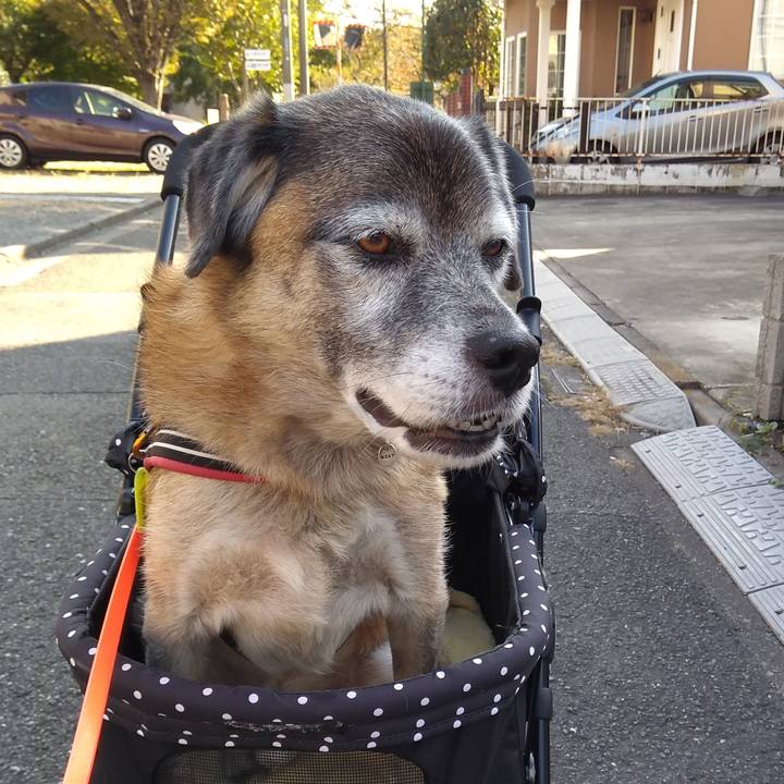 150511af d1ef 48f8 a338 0960bf0f9615 1573277751624