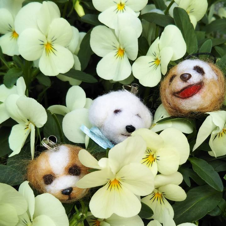 15053b79 3c0e 43d2 9add f28f5782d8ab 1588040331681