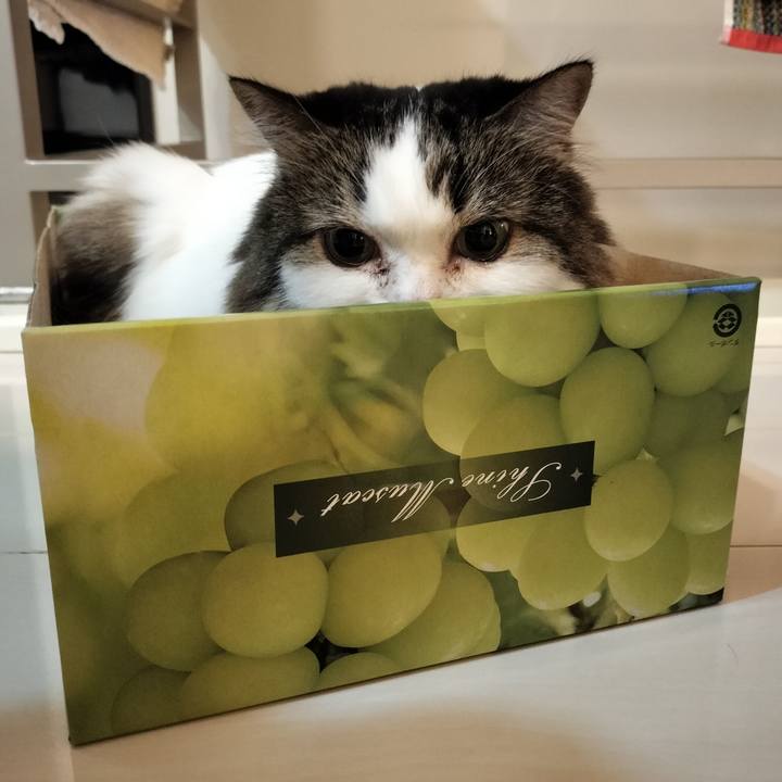 1505448f e92c 4af0 a2c8 584f11e78337 1760094447803