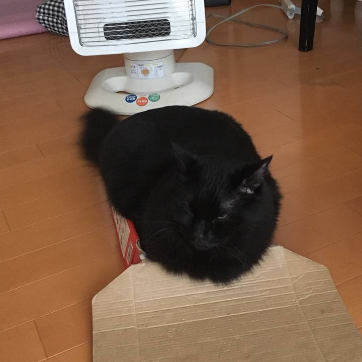 15054e26 a845 49ec b6c0 6ef6ad63d5af 1539997226611