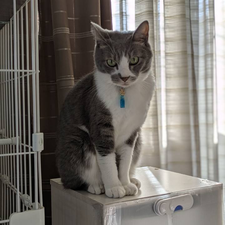 15056511 14fc 4ef1 b6c7 091fbddb7ede 1734844483168