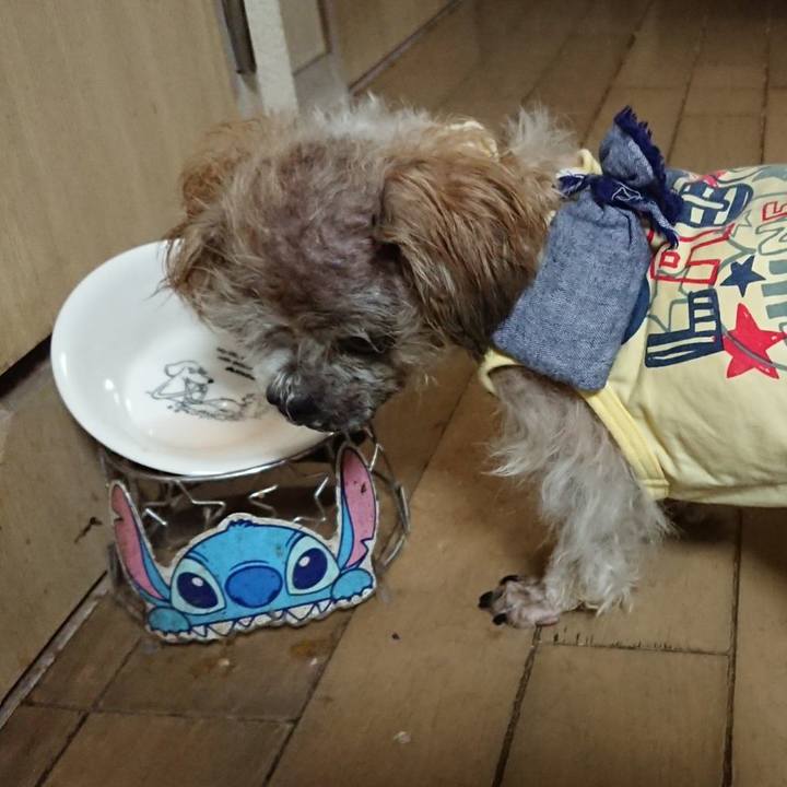 1505690e 3de5 4ea5 aa26 dcb480196233 1559229259770