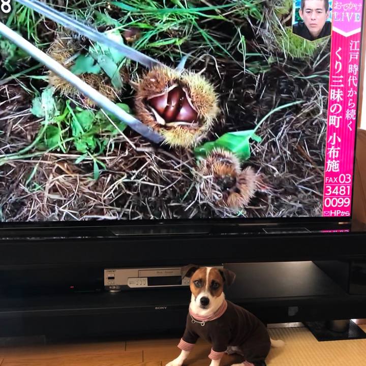 15056b68 bcdf 46c8 bc8f 7ec2d39ea7b7 1570581045018