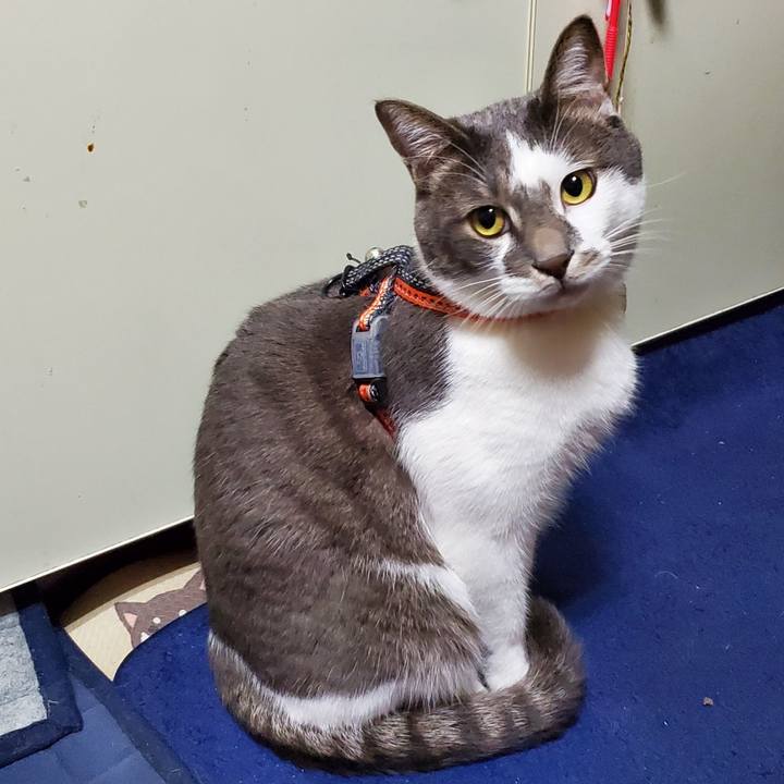 1505d021 ff4e 49e8 a352 68ce27925db9 1733536045447