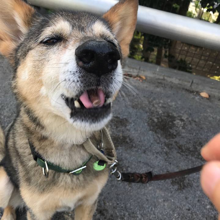 1505d0ac 481d 45a9 8f52 c25644575e6c 1532666601792