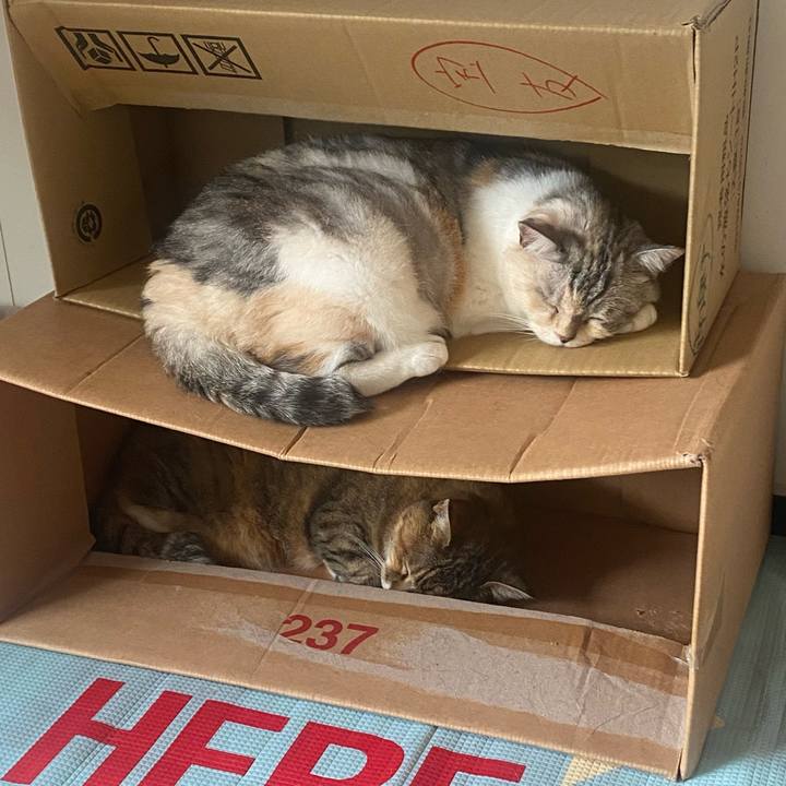 1505e503 03a7 4389 9675 1b4982408103 1721016883316