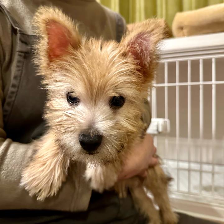 1505f0b2 6c13 4e56 9a89 6cd288510bcf 1700921345764