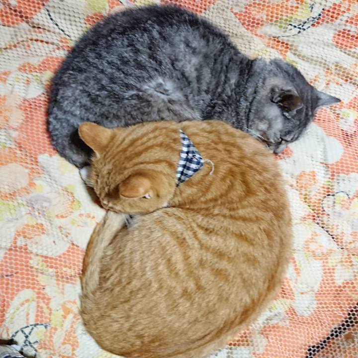 1505f2bc 2784 445e bab4 e024de89976b 1571659869300