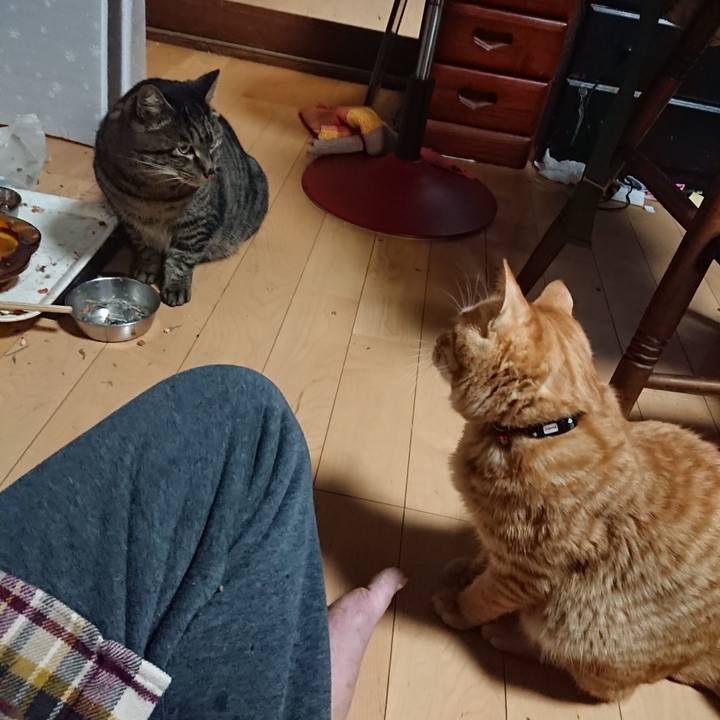 15060b21 77bc 4707 9cbf 115c3d380903 1639826233088