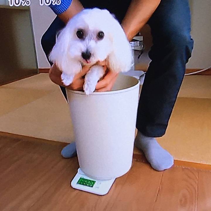 15061d71 b8e5 4684 9383 01f4edc129ac 1634773480092