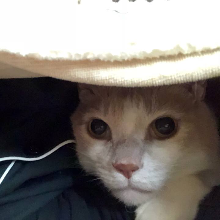 150625e6 c7dc 436d 8450 2920f88ca458 1521845460575