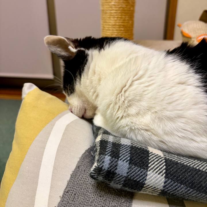 15067ebd abfe 45b9 9821 969828e78612 1768150428237