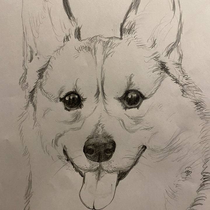 15067f93 854a 4e3e b578 da4b046a8015 1614696276423