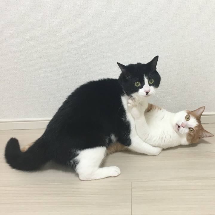 15069944 4e0f 4d76 a316 f5f8309fc3d4 1562455801714