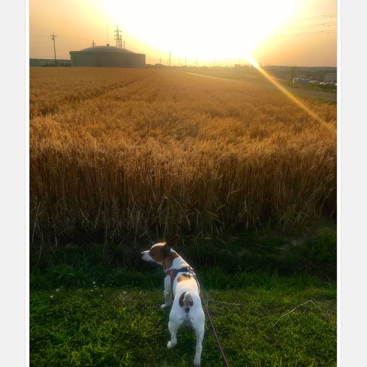 1506d707 96f3 41c0 9035 9569614406d0 1527291037009