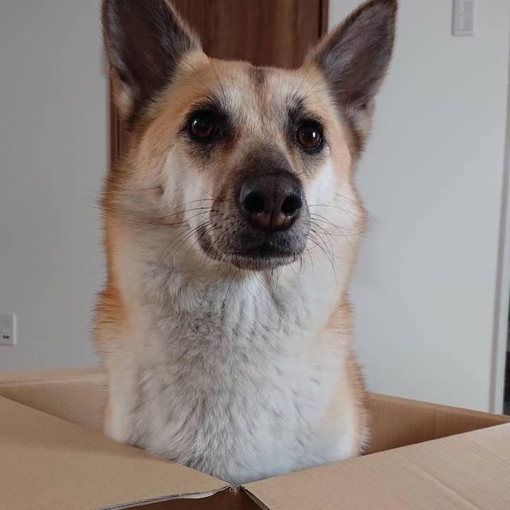 1506e658 019a 4a75 aa76 1cf0108b34ae 1528206712147