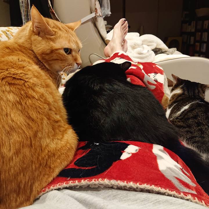 15074a46 d5d8 4365 8493 d4752d035a08 1678453866949