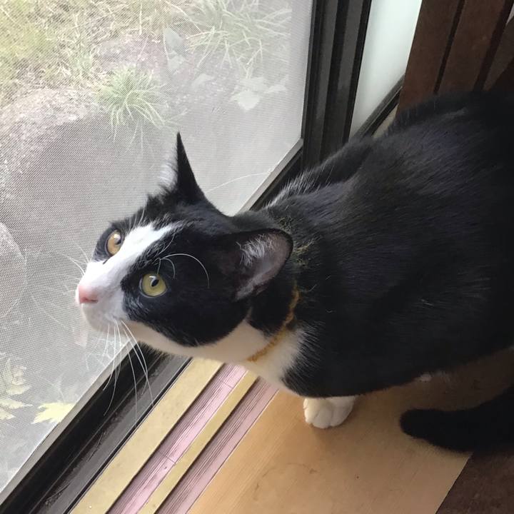 15076176 6c88 44b0 84ce b906135e5c41 1648198191341