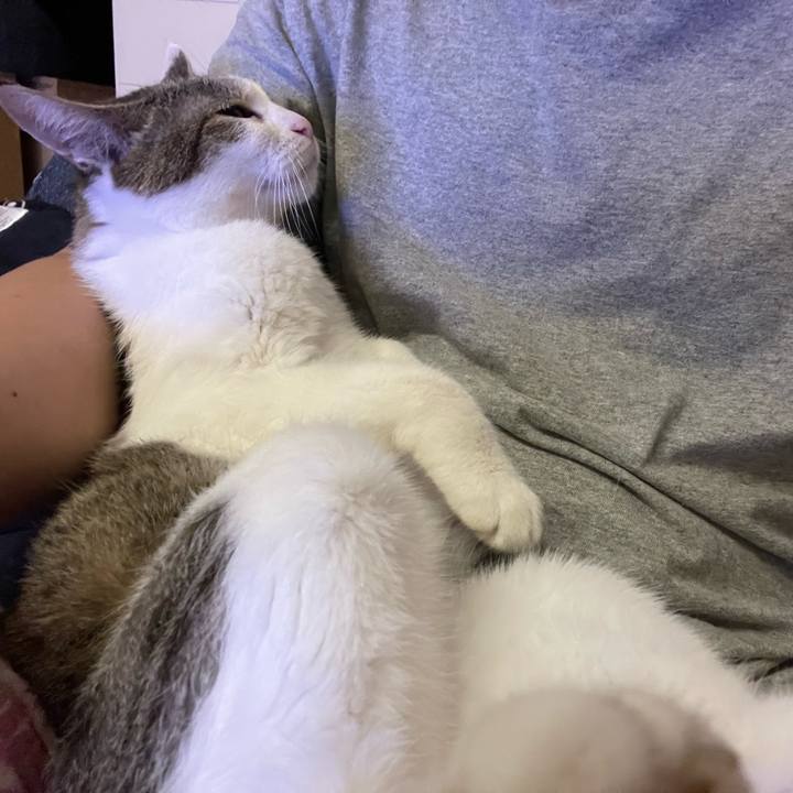 15079e5b 7fc3 4ba7 beb4 644f06c3b342 1695654611984