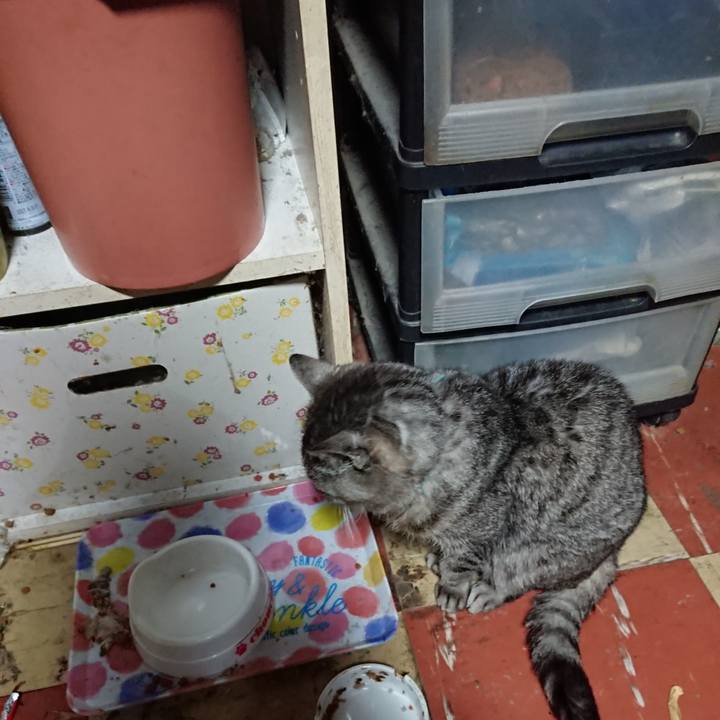 1507deb2 de98 48e0 bcb8 da760676b403 1574193123396