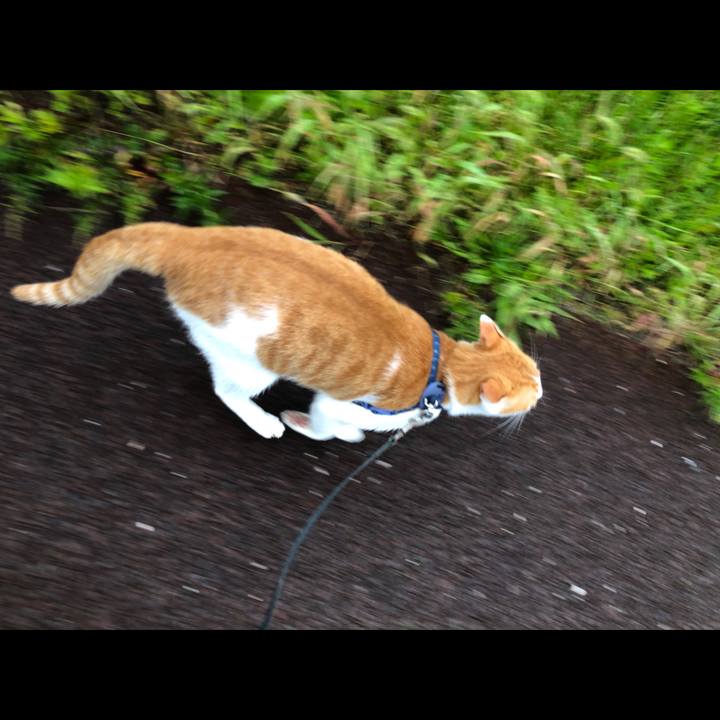 1507e64e 1cb8 4da3 95d1 a07a299dfc49 1539239566726