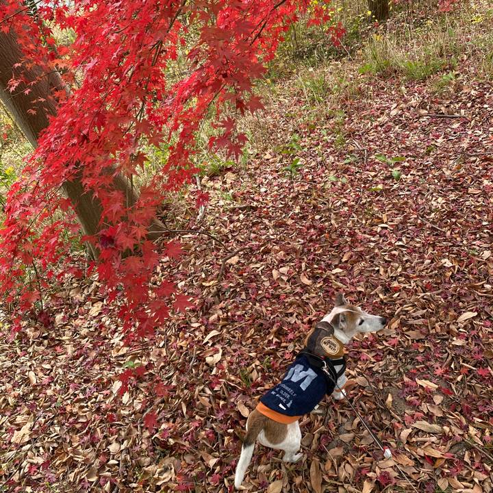 15080b9c ce56 4188 9460 727c3d2e0f02 1607844657058