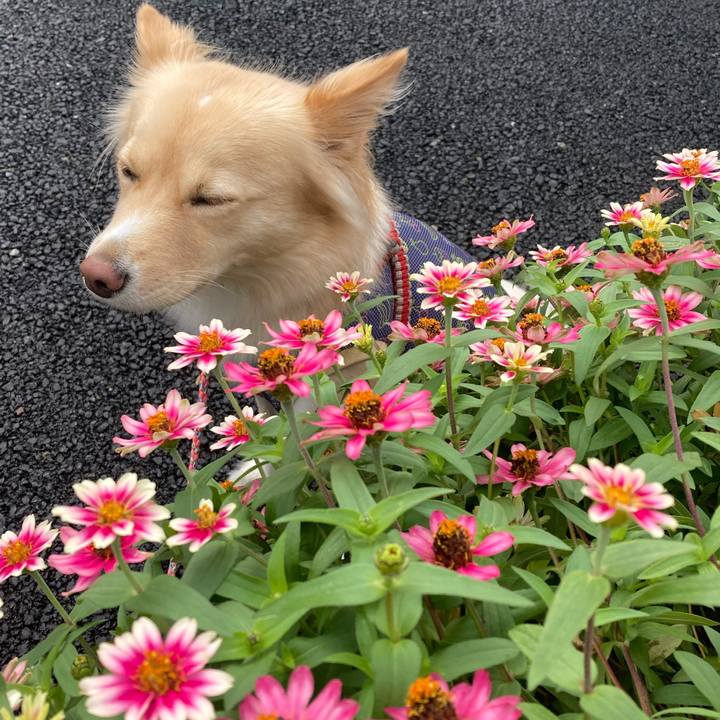 15083725 d74a 4702 aac8 3393bfe08d35 1696402611172