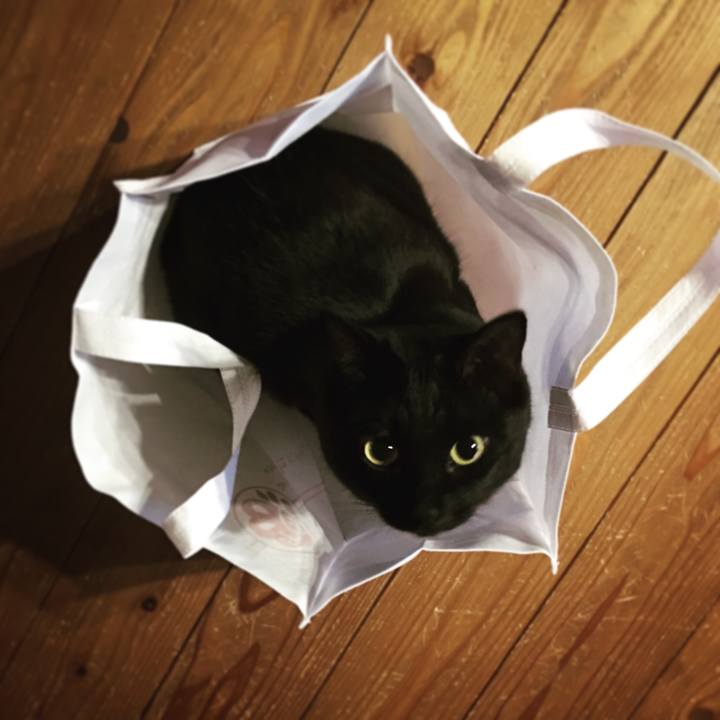 15084213 753b 4245 be47 4e5869f80fc5 1518216411813