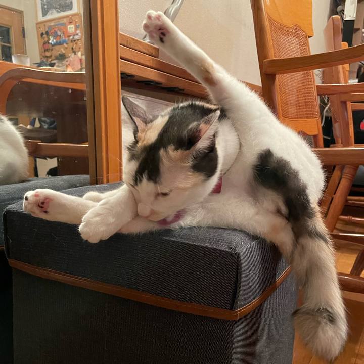 15084afa 4ee8 4052 8c56 019aa0e5b092 1726669456731