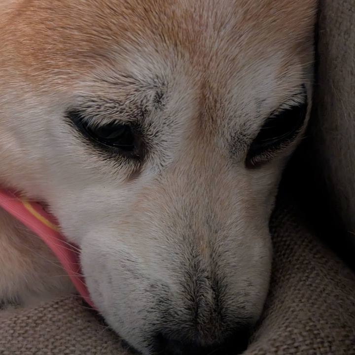 1508cbbf 1be9 4ecc a9e7 4164257c7c91 1773382371340