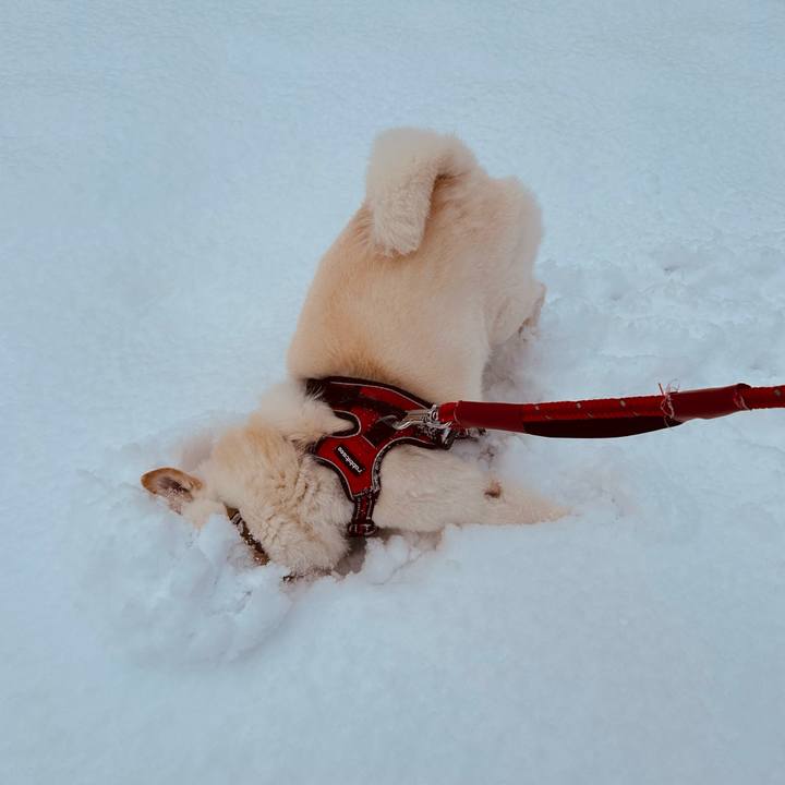 1508d66e 7de8 4970 87e7 2584b10d081d 1701474638445