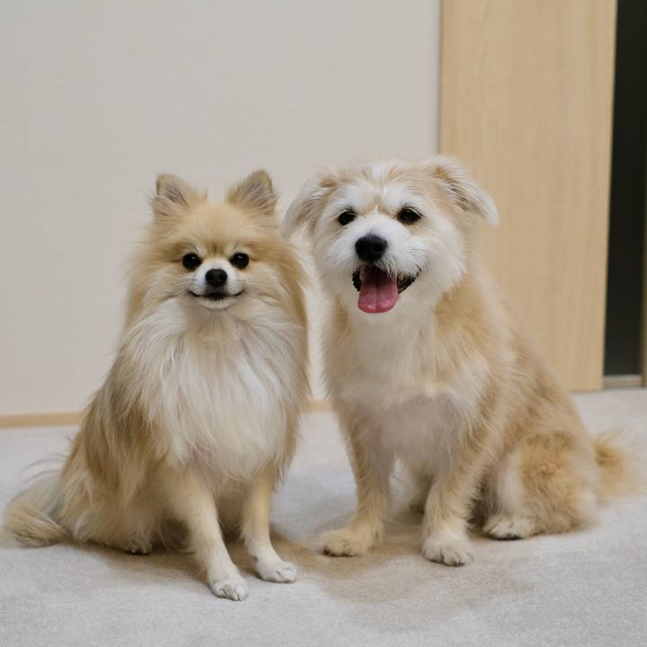 1508e1f6 c7b6 4bcf 8e35 43b9b7a6dbb6 1768173427610