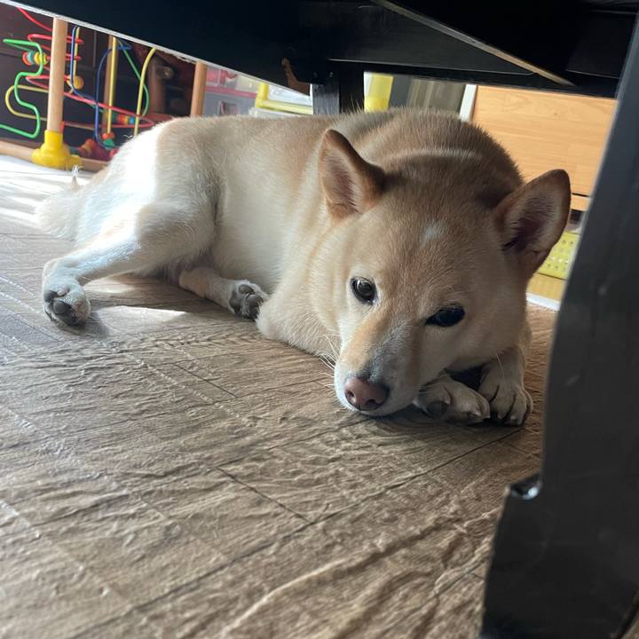 1508f43e 491d 4e6b a875 fc8ffb866c73 1664411147030