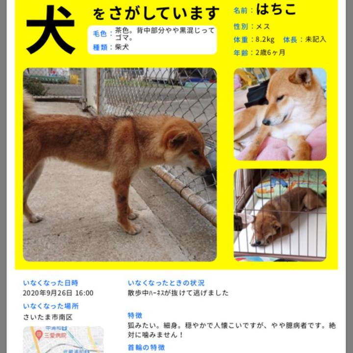 1508fa6a c7dd 43de 9168 d09eb2e7b2e6 1601173369383