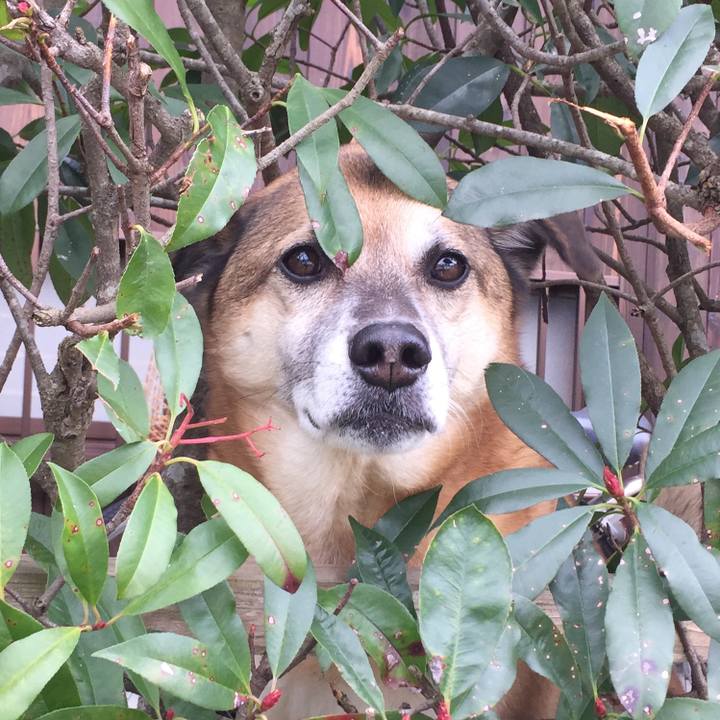 15090af3 f8d2 4d93 8bf0 65f674e57e22 1577885296331