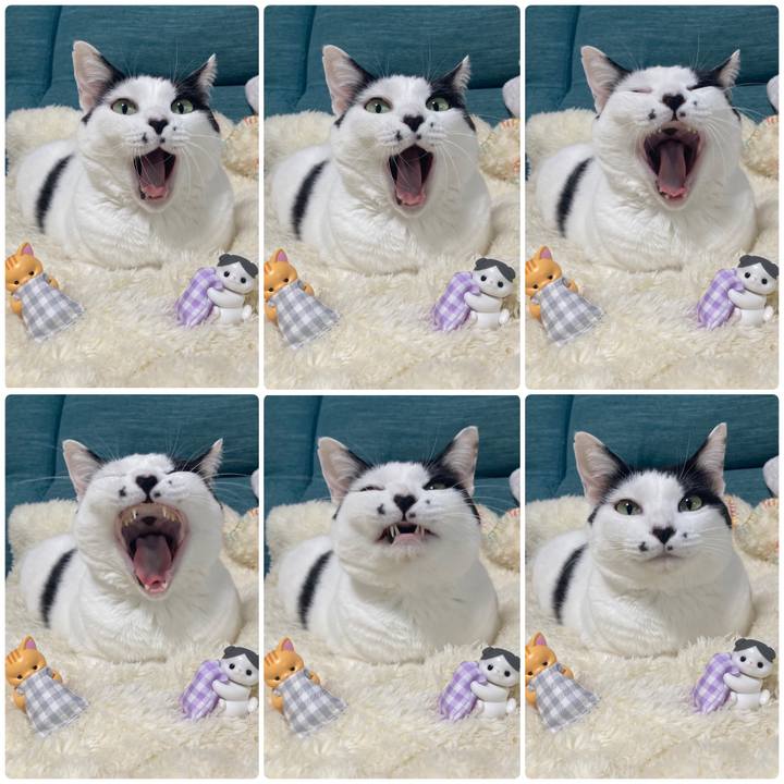 150999cc 44ec 4b6f 96a8 a23702af0e76 1763120441089