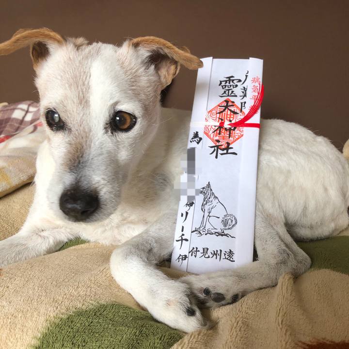 1509bd14 46f2 4f95 aba4 940432029de2 1579913537325